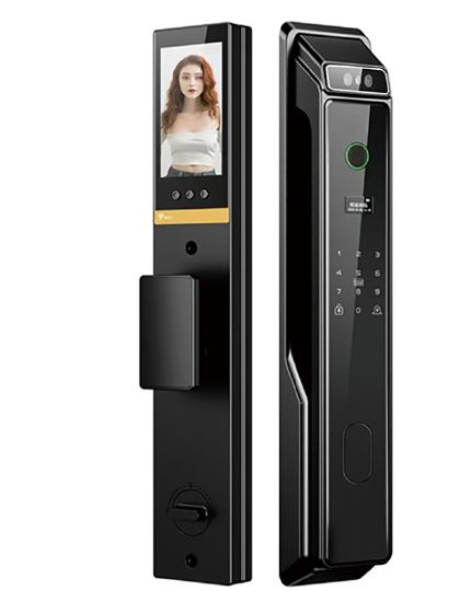 D10 smart lock