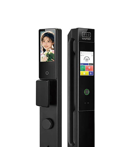 P17 PRO smart lock